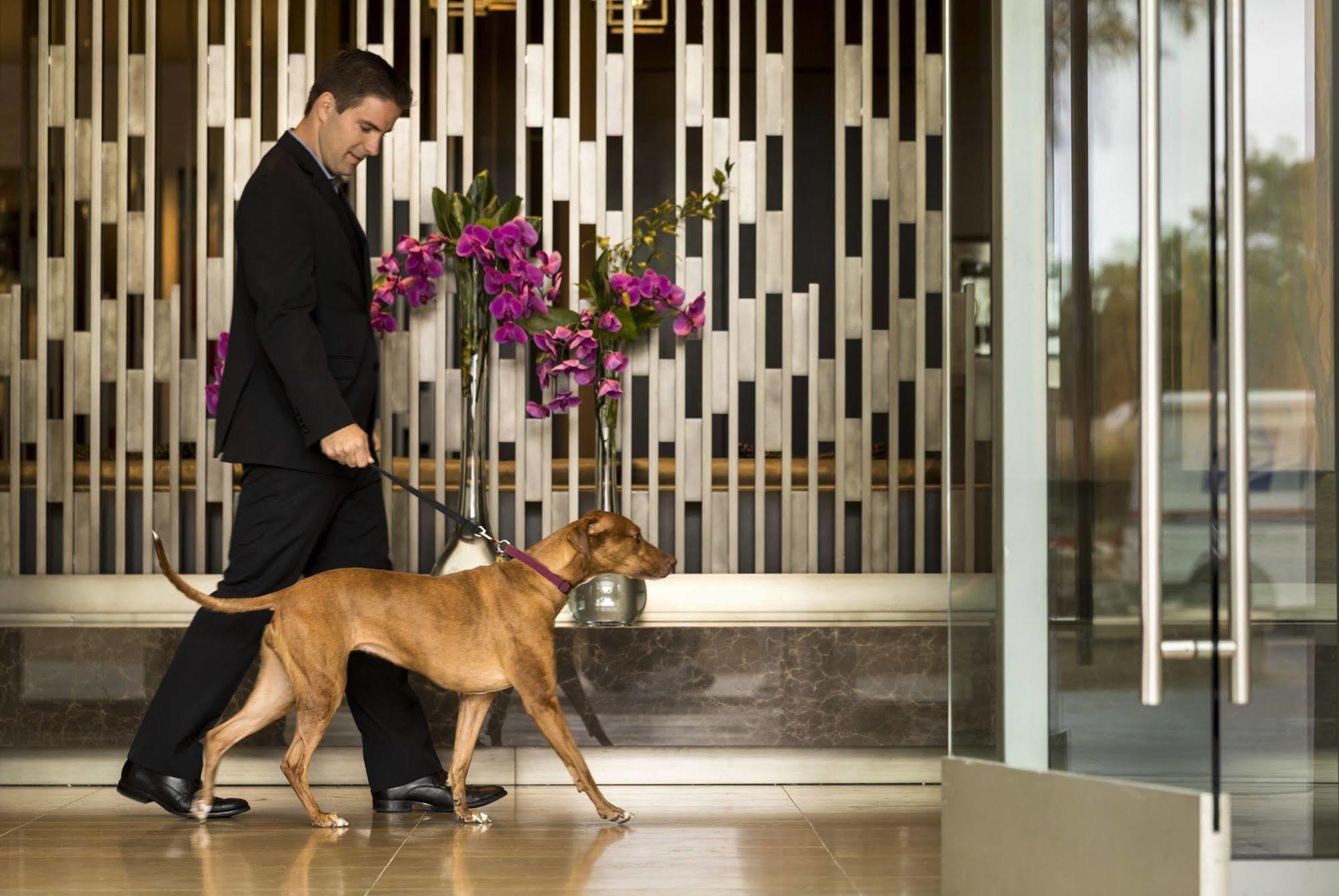 Four Seasons Hotel Silicon Valley At East Palo Alto Zewnętrze zdjęcie